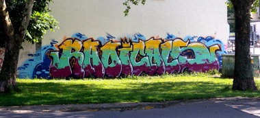 Graffiti Bombing - Photo by barbara - radicals