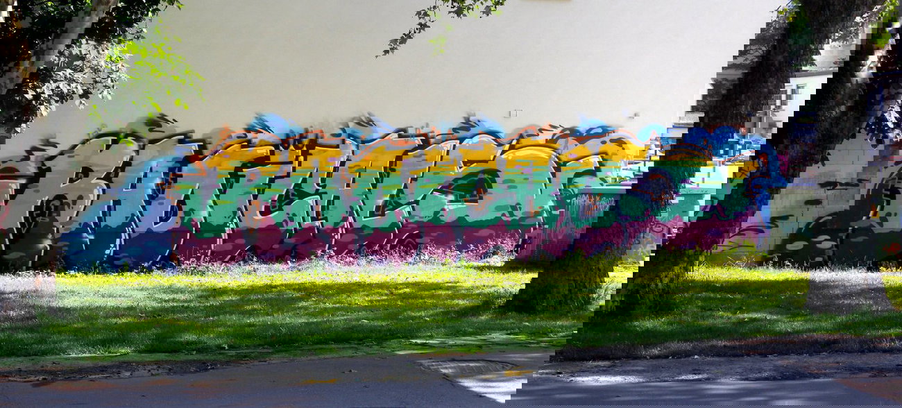 Graffiti Bombing - Photo by barbara - radicals