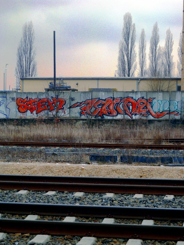 Graffiti Wall - Photo by barbara - stem, coma