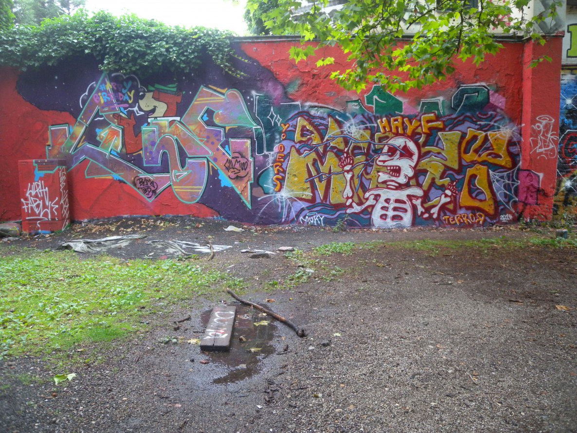 Graffiti Wall - Photo by barbara - calm, muky
