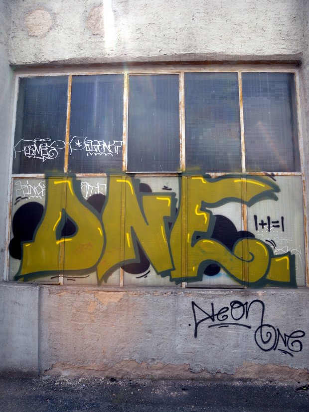Graffiti Wall - Photo by barbara - dne, neon, one