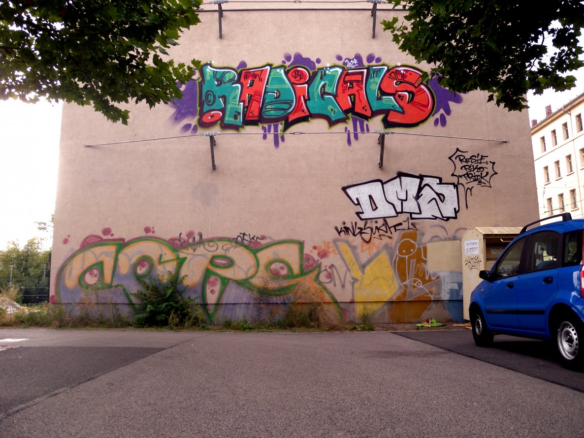 Graffiti Wall - Photo by barbara - radicals, cops