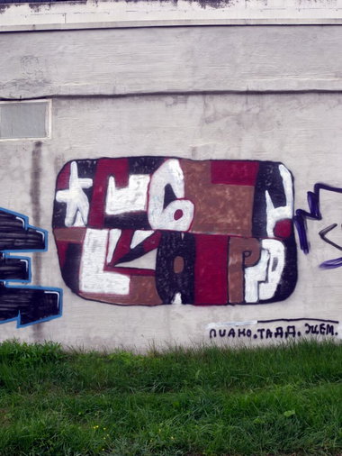 Graffiti Bombing - Photo by barbara - rgr, lapd