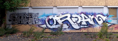 Graffiti Bombing - Photo by barbara - salt, org, gang
