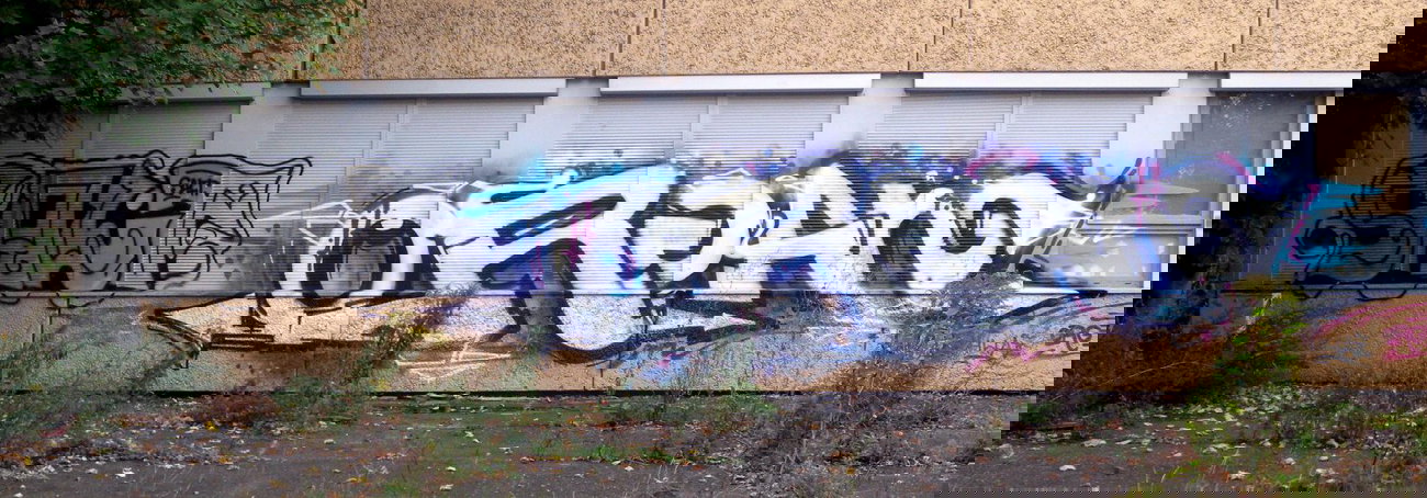 Graffiti Bombing - Photo by barbara - salt, org, gang