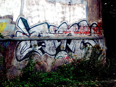 Graffiti Bombing - Photo by barbara - amc