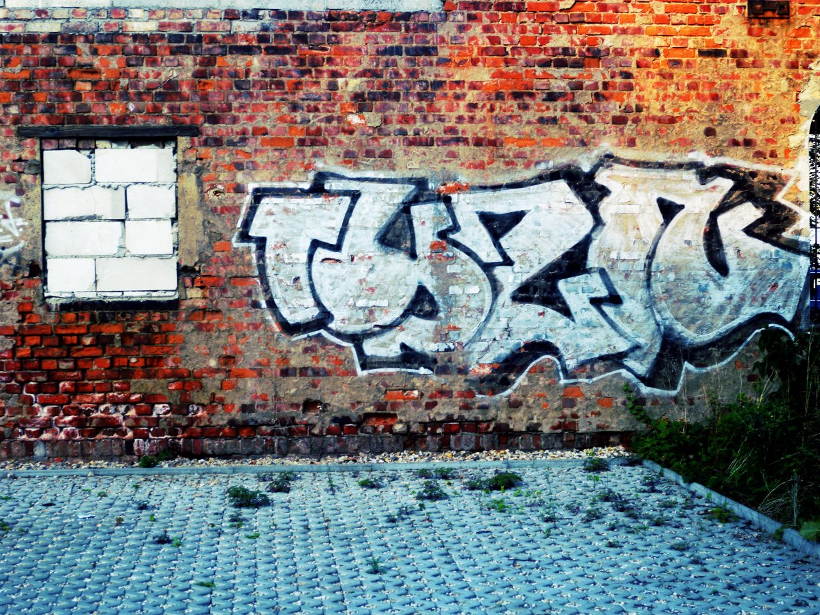 Graffiti Bombing - Photo by barbara