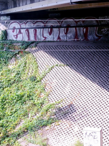 Graffiti Bombing - Photo by barbara - emoon