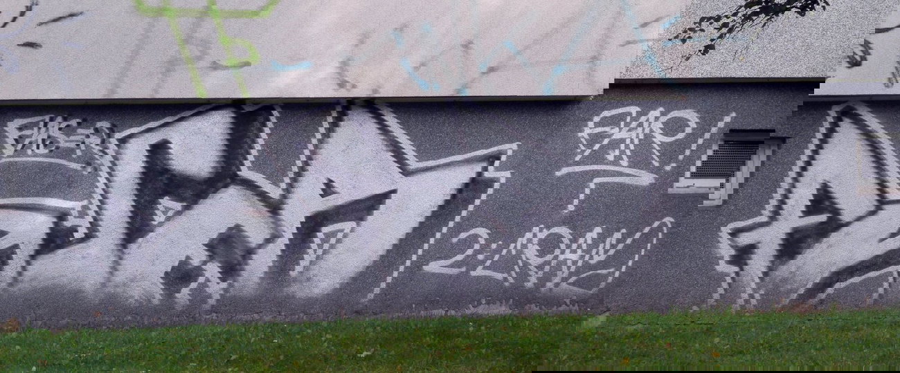 Graffiti Bombing - Photo by barbara - faser