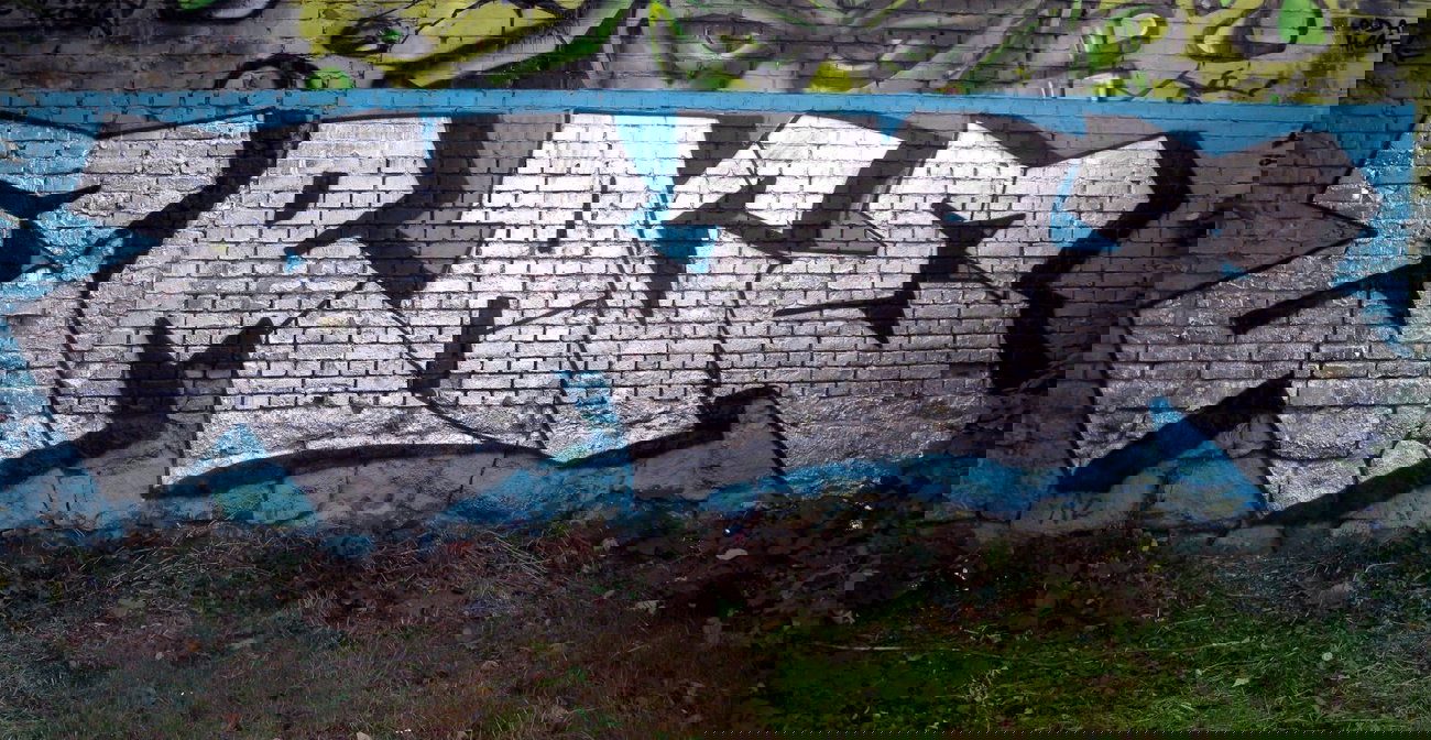 Graffiti Wall - Photo by barbara - erace