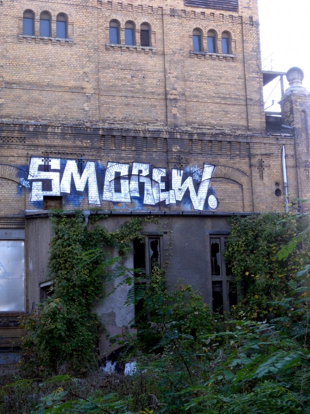 Graffiti Bombing - Photo by barbara - sm, crew