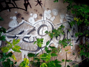 Graffiti Bombing - Photo by barbara - zoom
