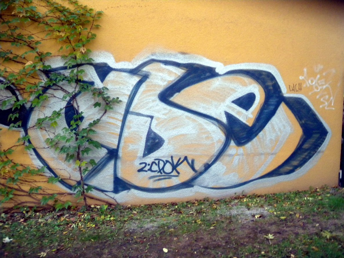 Graffiti Bombing - Photo by barbara - cyse, cpok