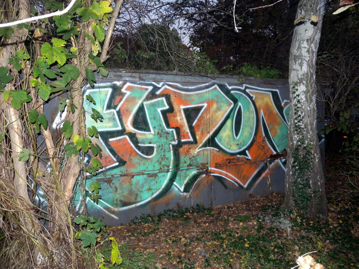 Graffiti Bombing - Photo by barbara - tyzon