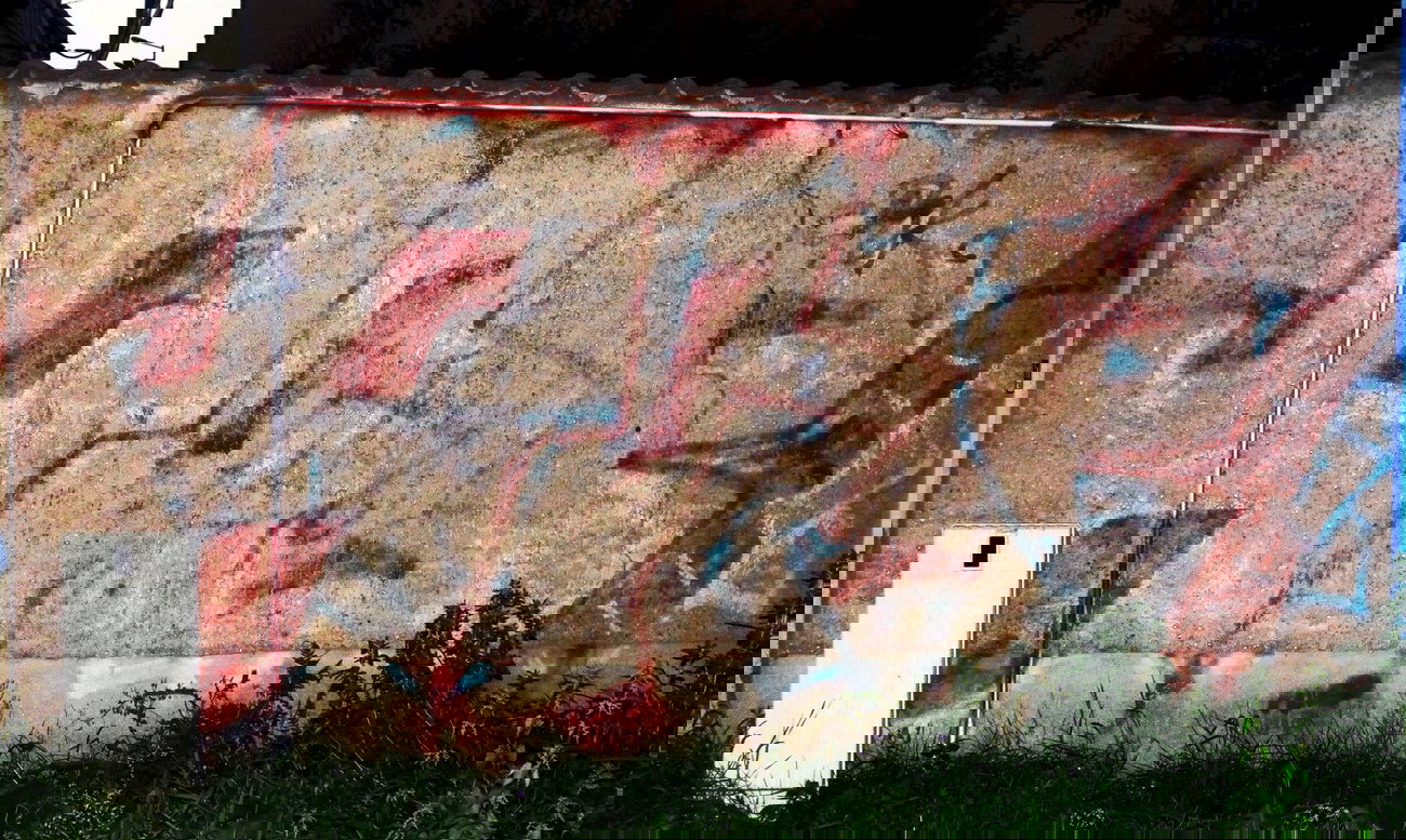 Graffiti Bombing - Photo by barbara - 803