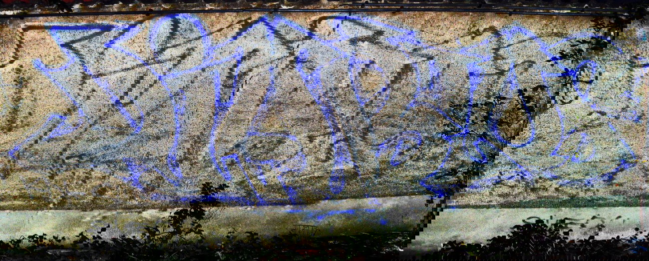 Graffiti Bombing - Photo by barbara - diablos