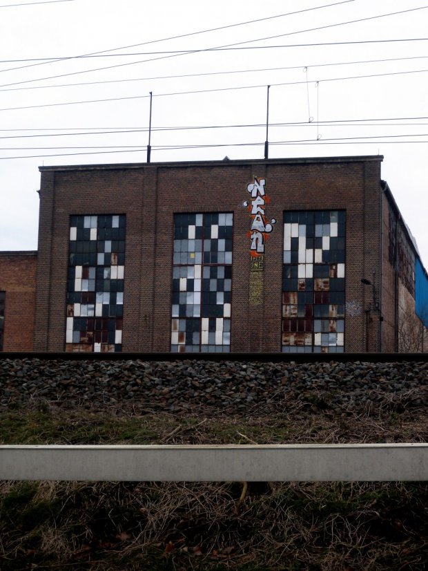 Graffiti Bombing - Photo by barbara - neon