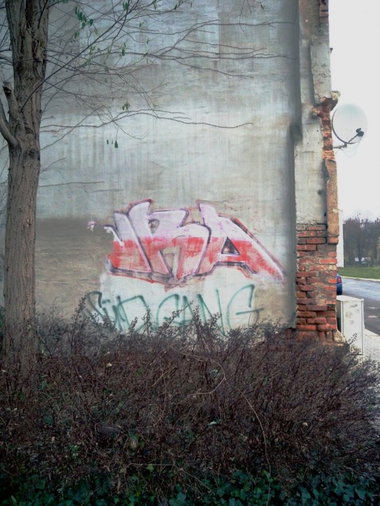 Graffiti Bombing - Photo by barbara - wra