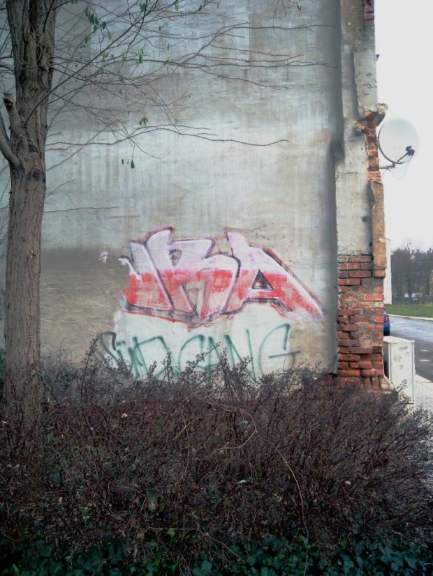 Graffiti Bombing - Photo by barbara - wra