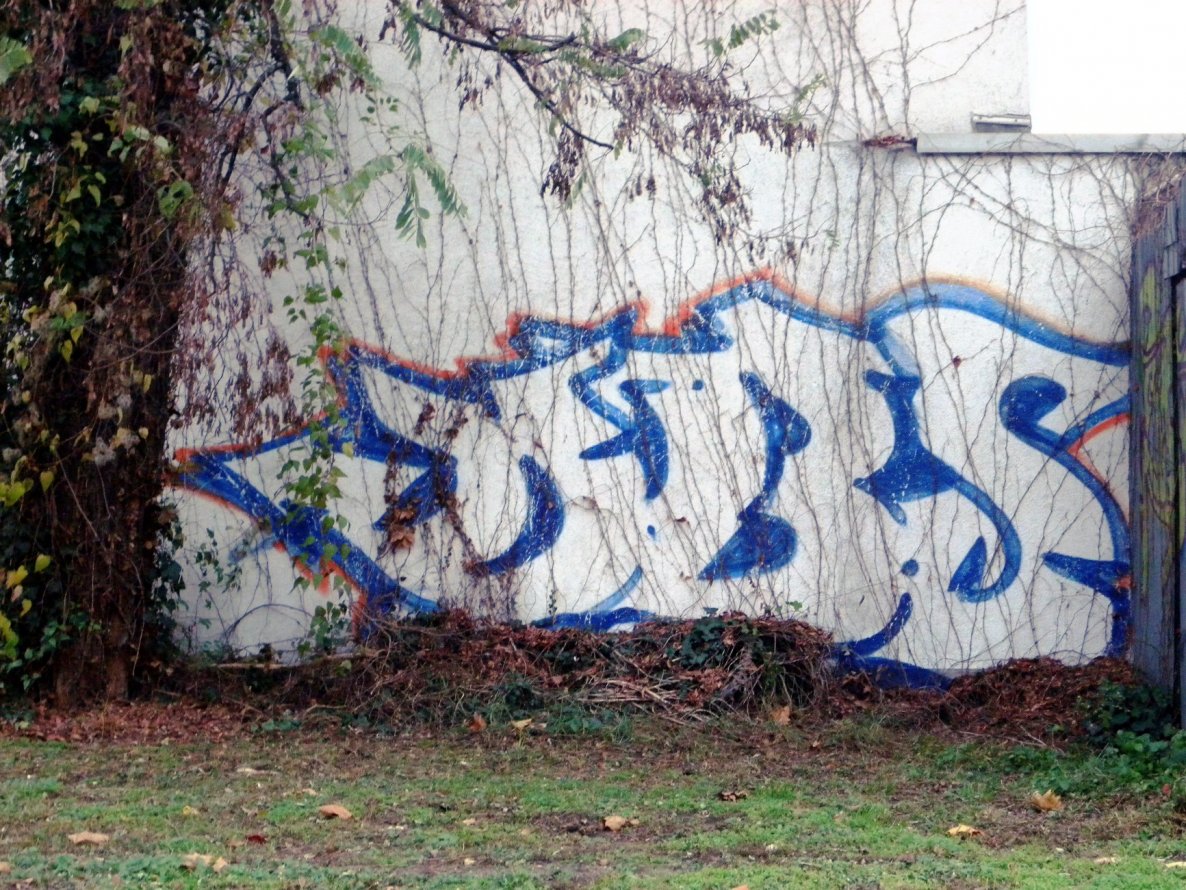Graffiti Bombing - Photo by barbara - dbs