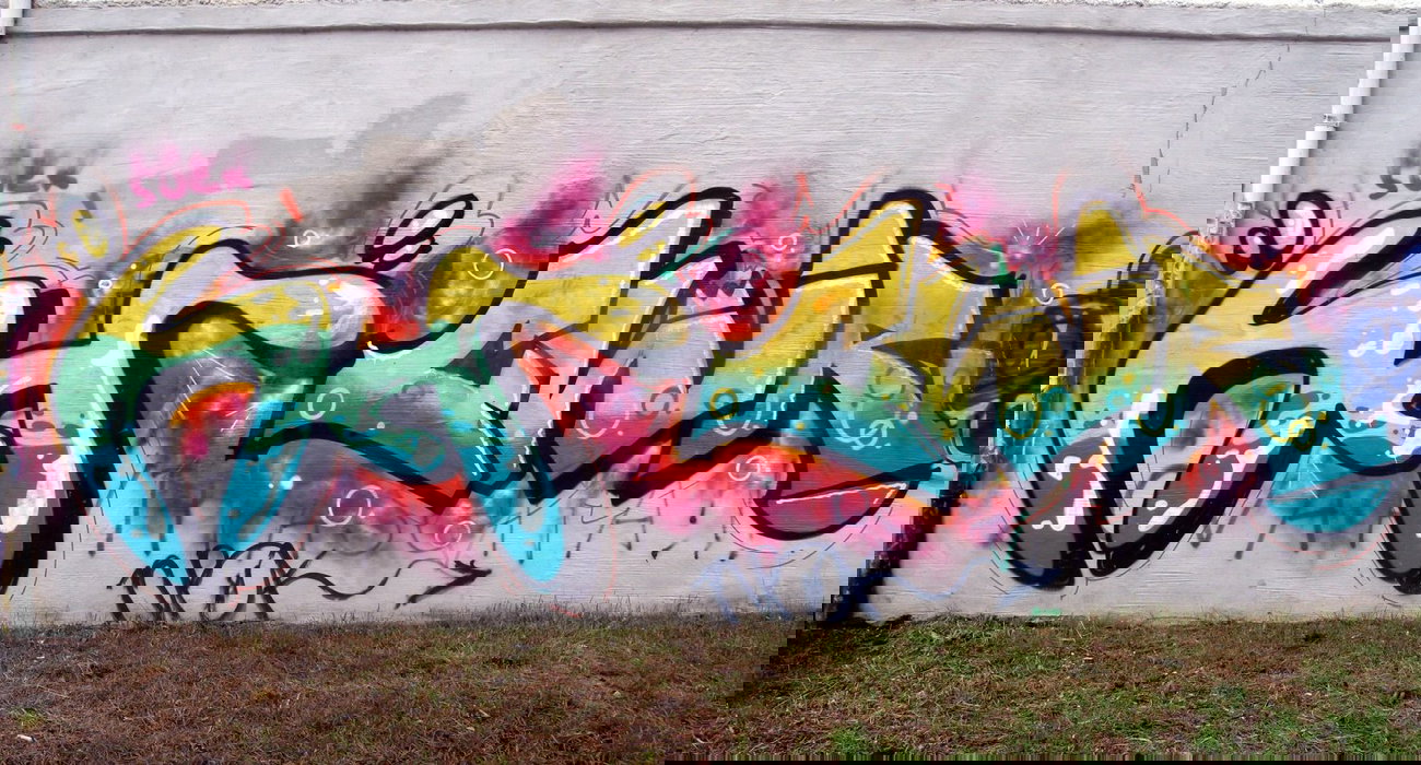 Graffiti Bombing - Photo by barbara - hcr, cwr