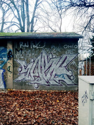 Graffiti Bombing - Photo by barbara - sabe