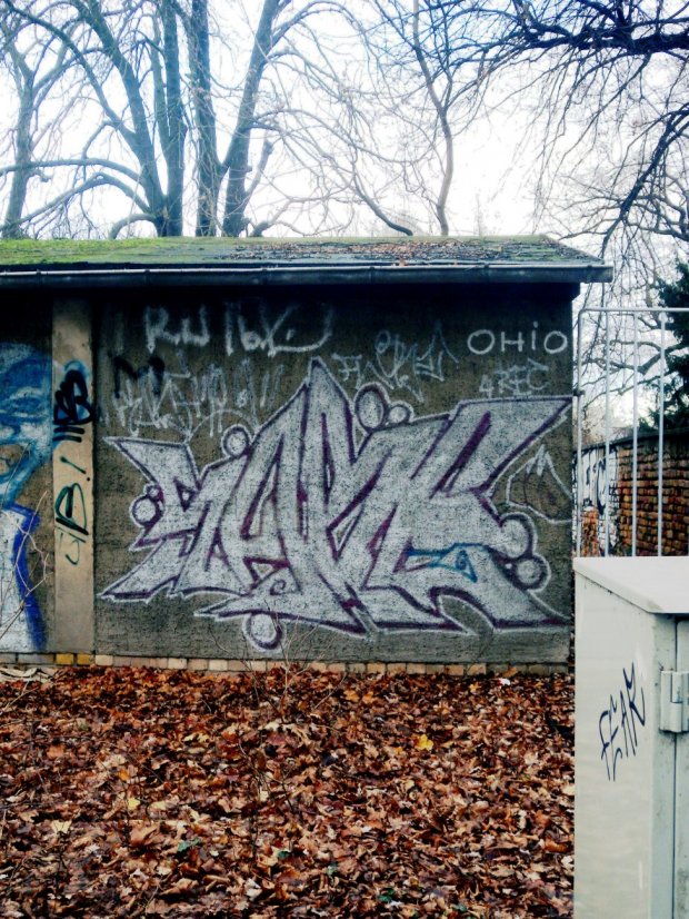 Graffiti Bombing - Photo by barbara - sabe