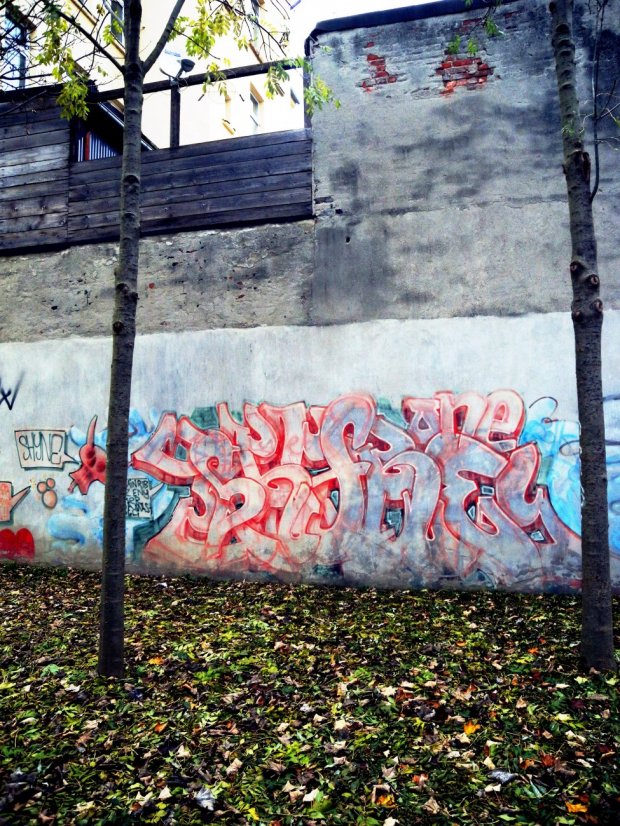 Graffiti Bombing - Photo by barbara - shine