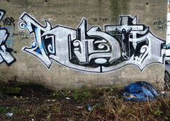 Photo #134119 by TheWallHunter