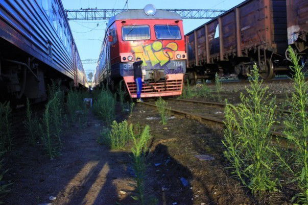 Graffiti Artwork - Photo by bart