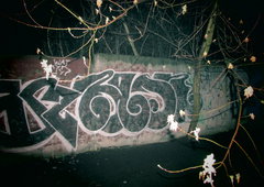 Photo #5441 by quiet