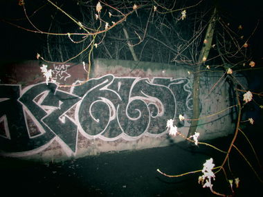 Graffiti Wall - Photo by baske