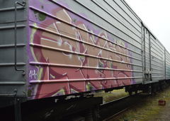 Photo #72221 by Taemletterz