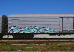 Photo #90696 by Nets1