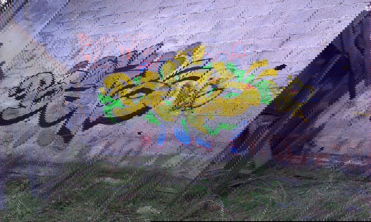 Graffiti Bombing in Istanbul - Photo by beis - beis (2014)