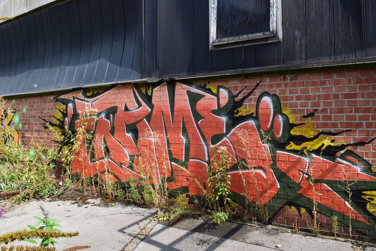 Graffiti Wall - Photo by bergischbunt - foame, solingen (2017)