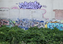 Photo #242383 by Sleisi