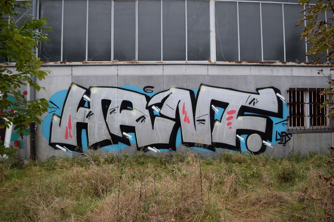 Graffiti Wall - Photo by bergischbunt - hanf, lyp