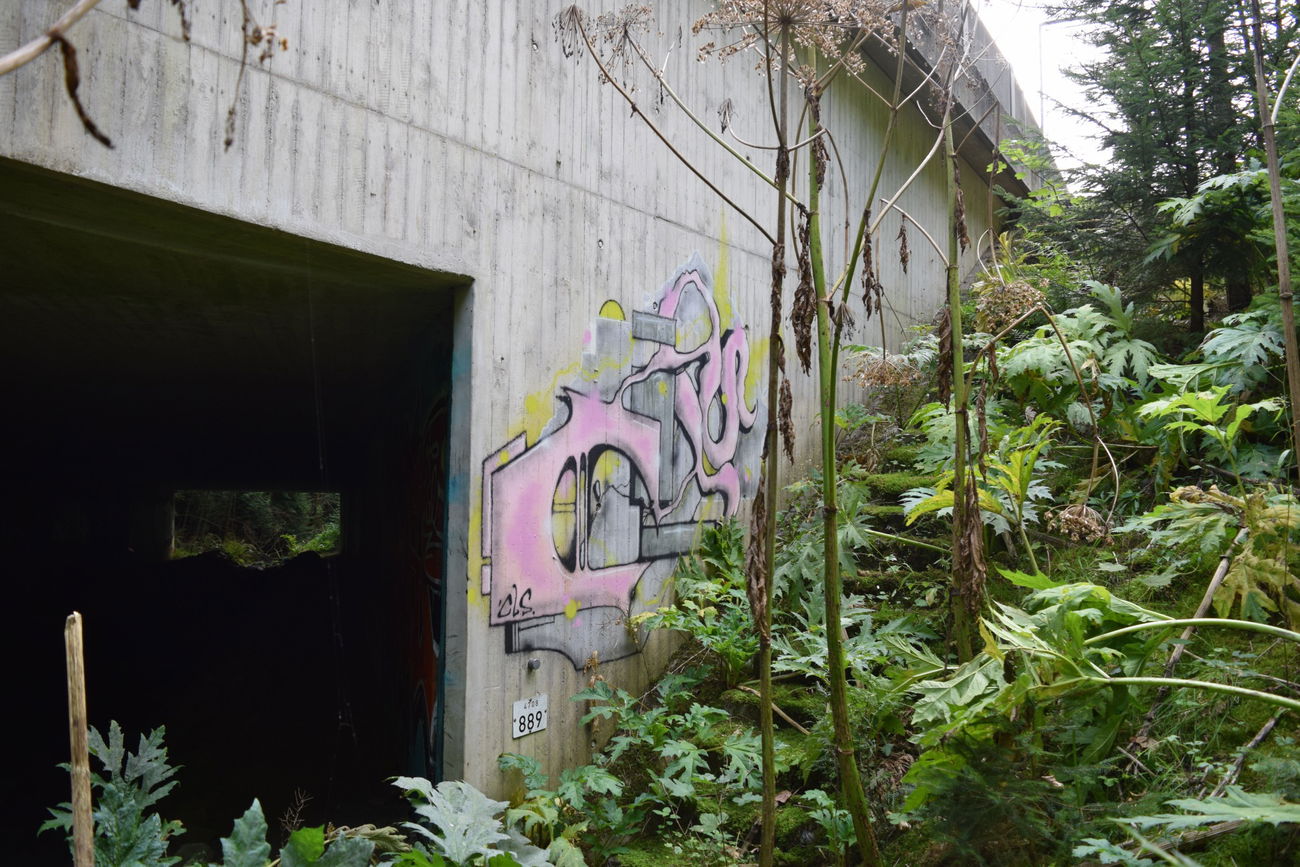 Graffiti Wall - Photo by bergischbunt - cls, remscheid