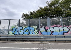 Graffiti Bombing - Photo by bergischbunt - user, lyp, wuppertal (2011)