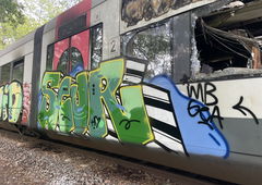 Graffiti Train - Photo by bergischbunt - scur, wuppertal