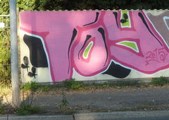 Graffiti Bombing - Photo by bergpunk - toy (2015)