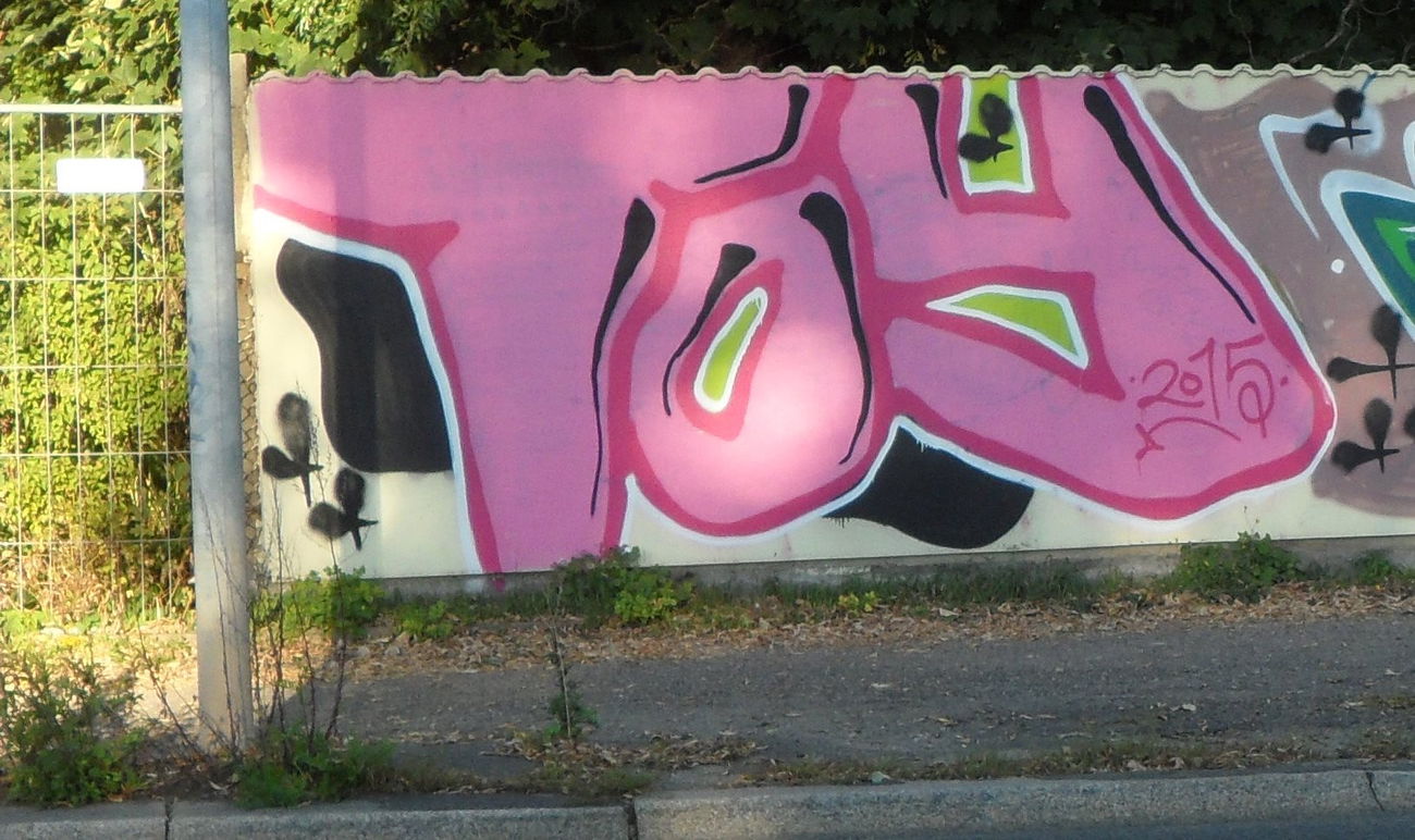 Graffiti Bombing - Photo by bergpunk - toy (2015)