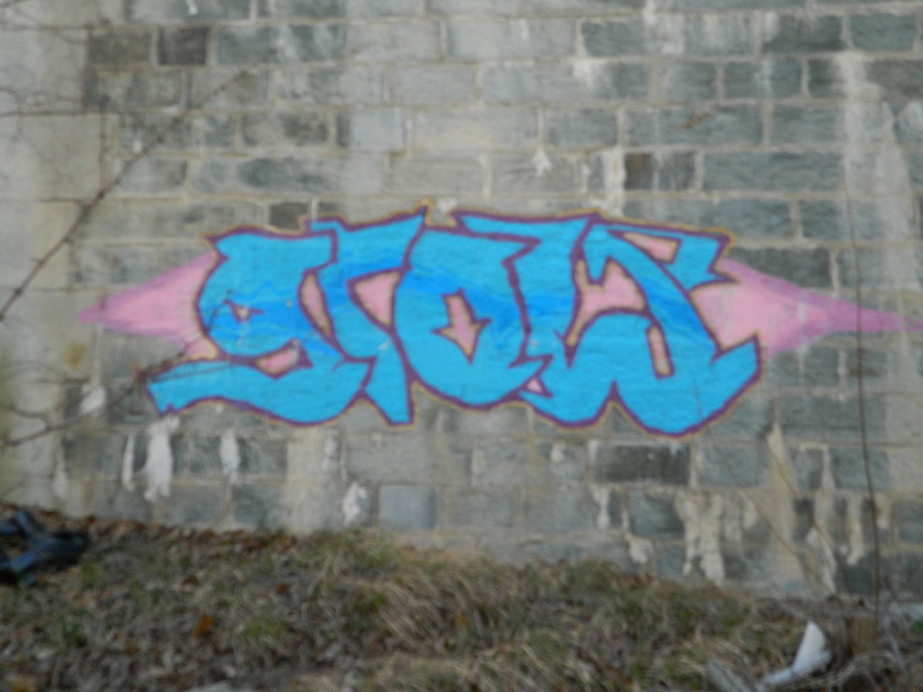 Graffiti Bombing - Photo by bergpunk - grow (2016)