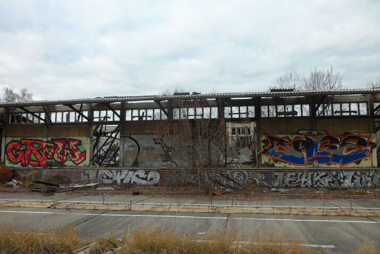 Graffiti Bombing - Photo by bergpunk - grow, sage (2012)