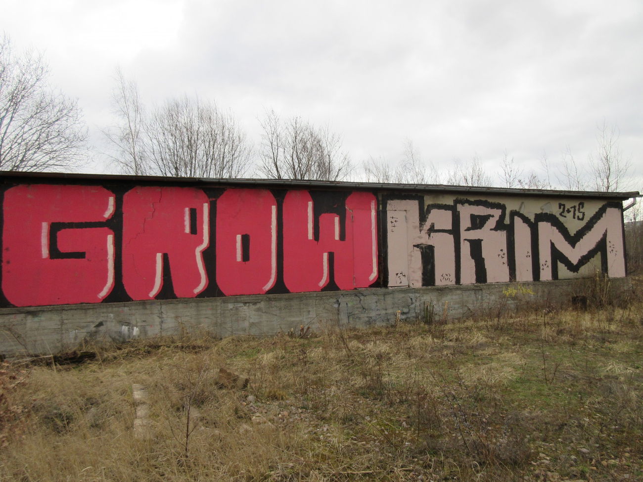 Graffiti Bombing - Photo by bergpunk