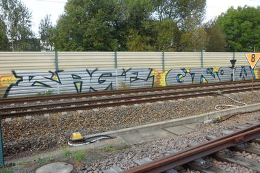 Graffiti Bombing - Photo by bergpunk - sage, grow (2010)