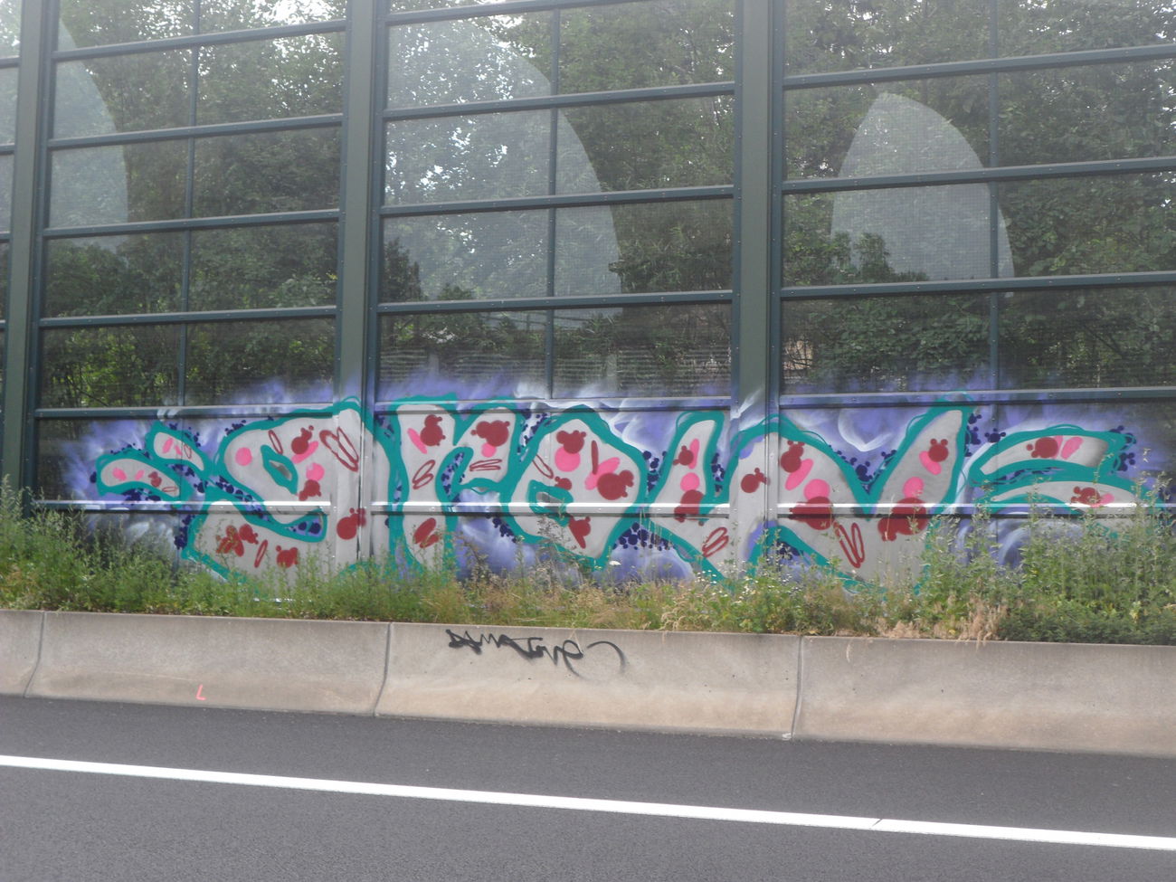 Graffiti Wall - Photo by bergpunk - grow (2015)