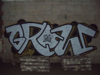 Graffiti Bombing - Photo by bergpunk - grow (2010)