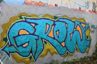 Graffiti Bombing - Photo by bergpunk - grow (2015)